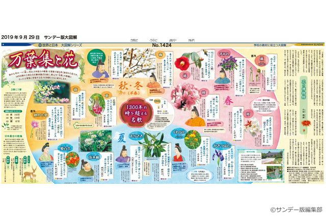 大図解＞万葉集と花(No.1424)(2019年9月29日) | 東京新聞オフィシャル