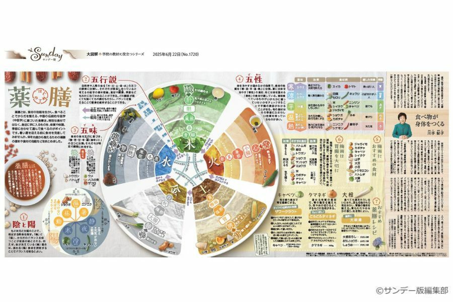 大図解＞ はじめての薬膳 (No.1720)(2025年6月22日) | 東京新聞
